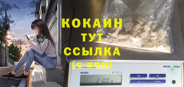 прущие крисы Беломорск