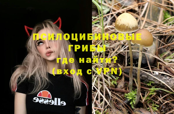 эйфоретик Белоозёрский
