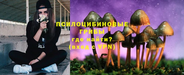 дживик Семёнов