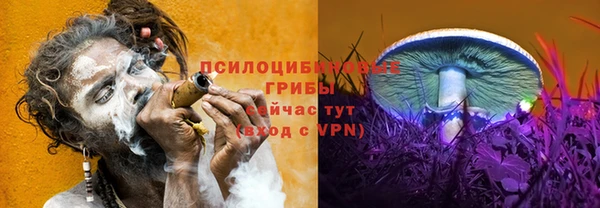 прущие крисы Беломорск