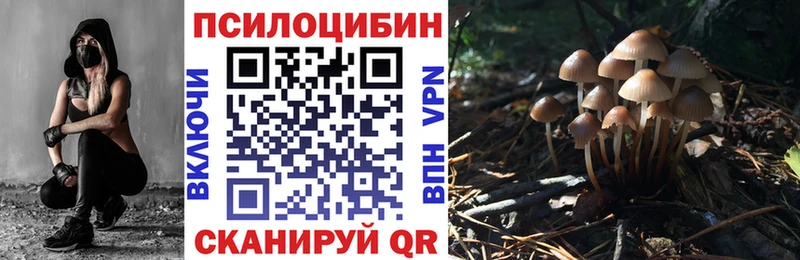 Галлюциногенные грибы Cubensis  Воскресенск 